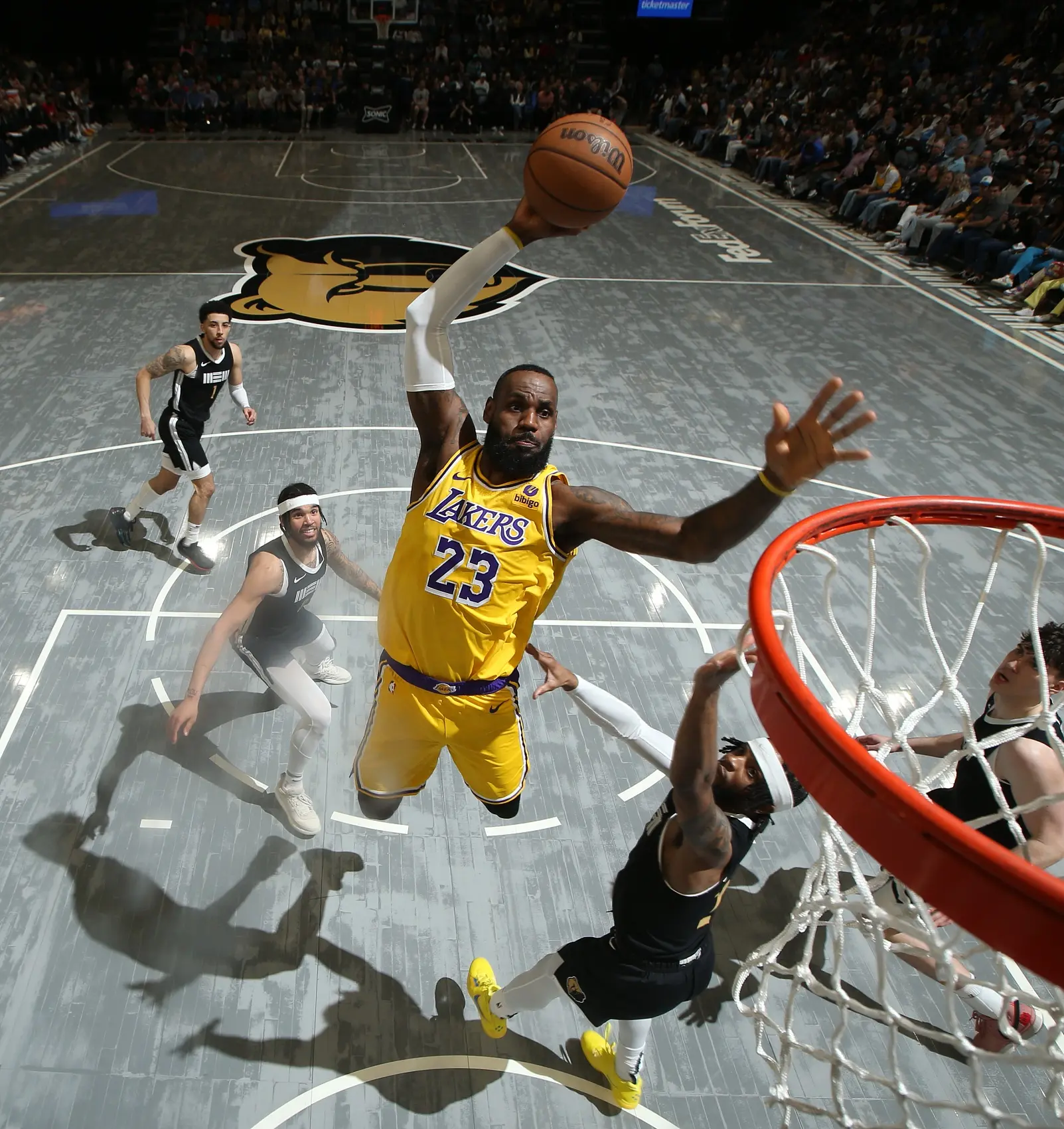 entit, 得年度最佳